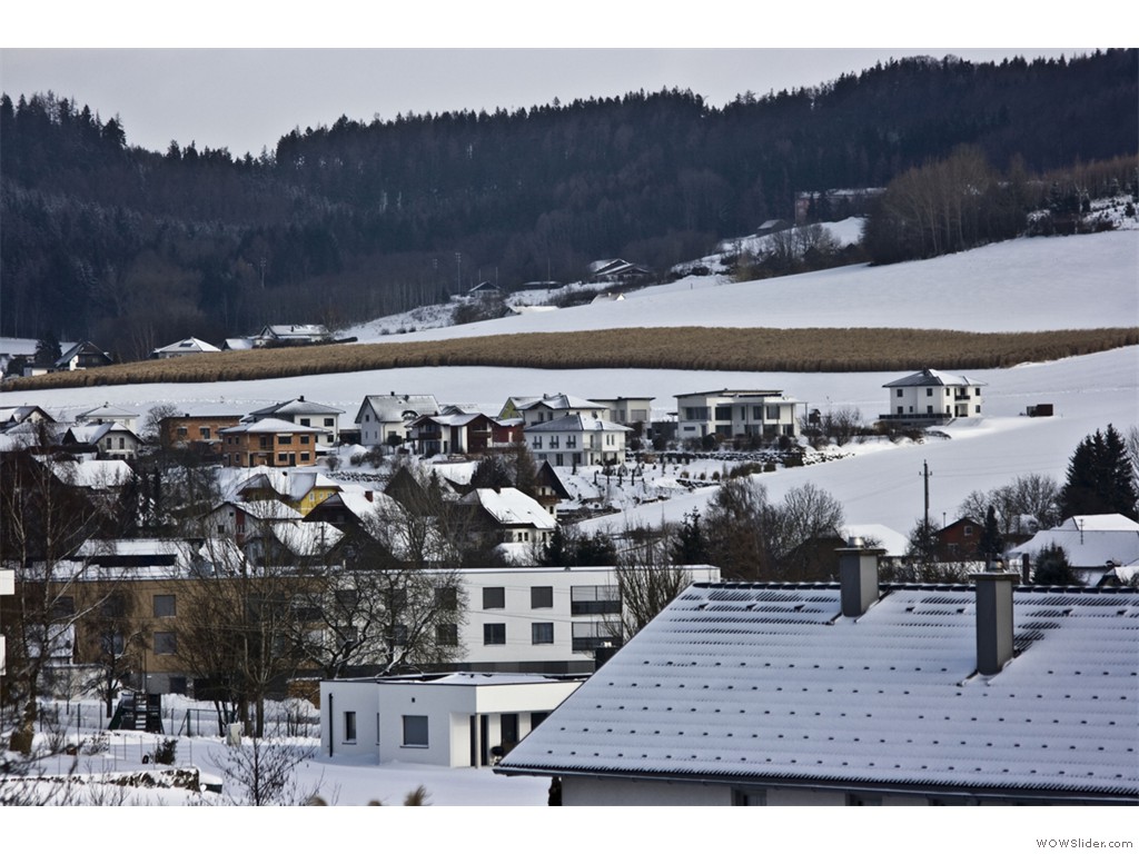 -2017-01-15_Fasanweg_002
