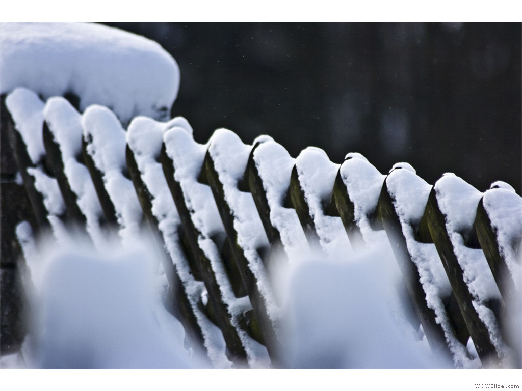 -2017-01-15_Fasanweg_006