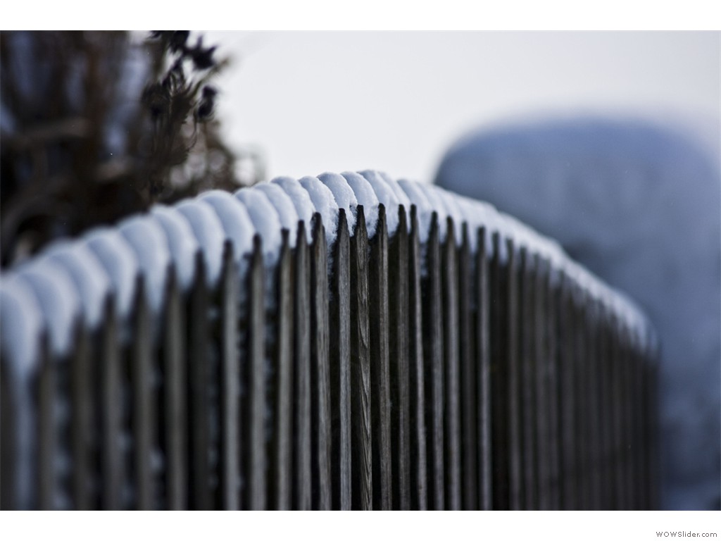 -2017-01-15_Fasanweg_011