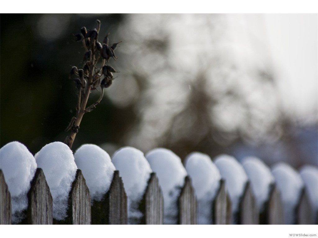 -2017-01-15_Fasanweg_013