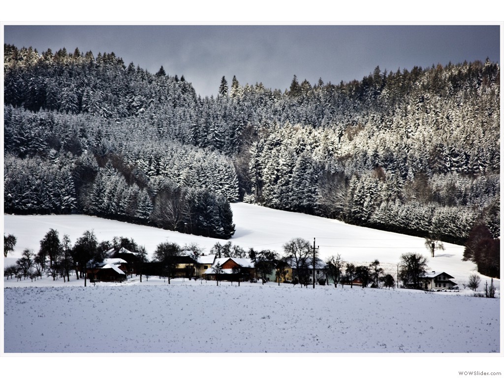 -2017-01-15_Fasanweg_028