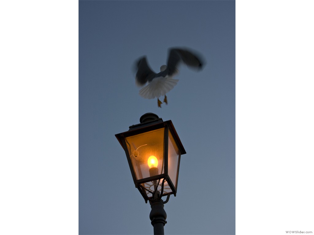 2018-10-18_Capri_099