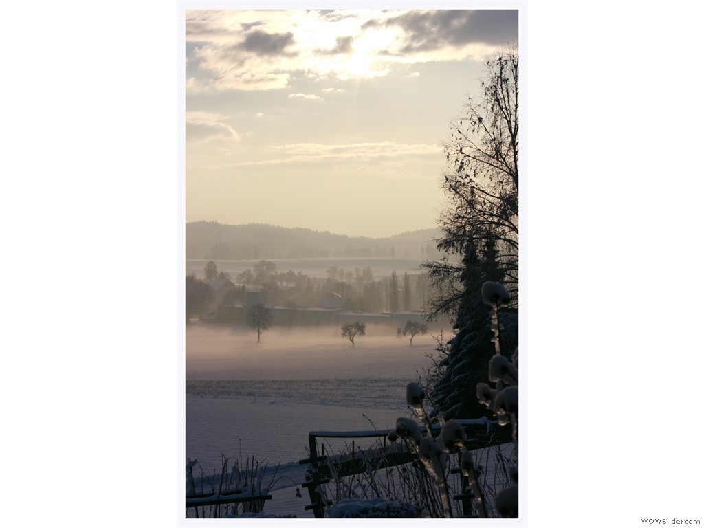 2010-02-07_Hongar_Bob_001 2010-02-07_Hongar_Bob_001