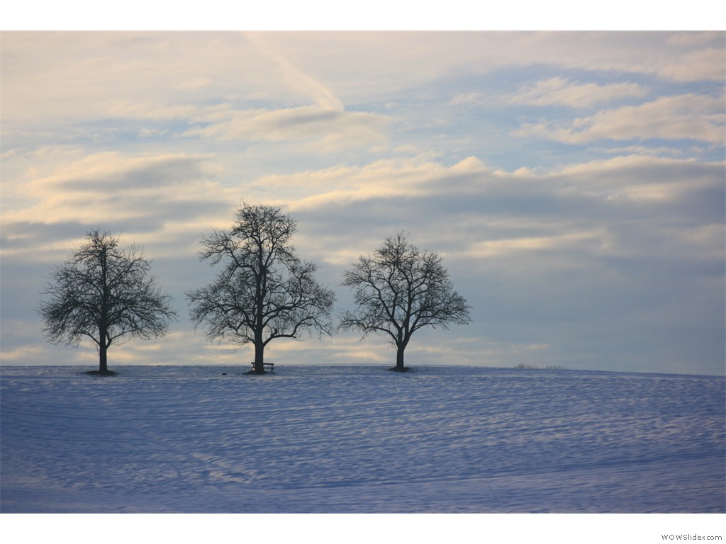 2011-01-11_Eisstock_Höckner_010 2011-01-11_Eisstock_Höckner_010