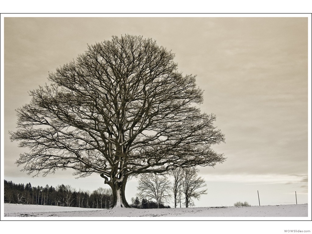 2011-12-31_Sylvester_003 2011-12-31_Sylvester_003