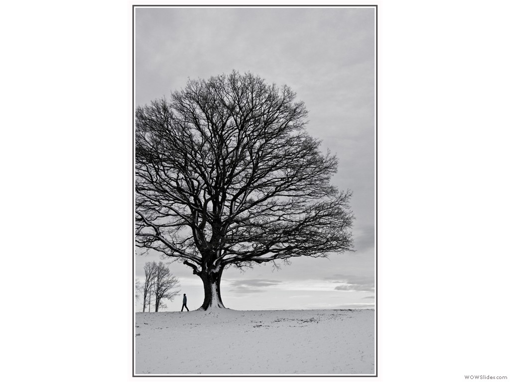 2011-12-31_Sylvester_008 2011-12-31_Sylvester_008