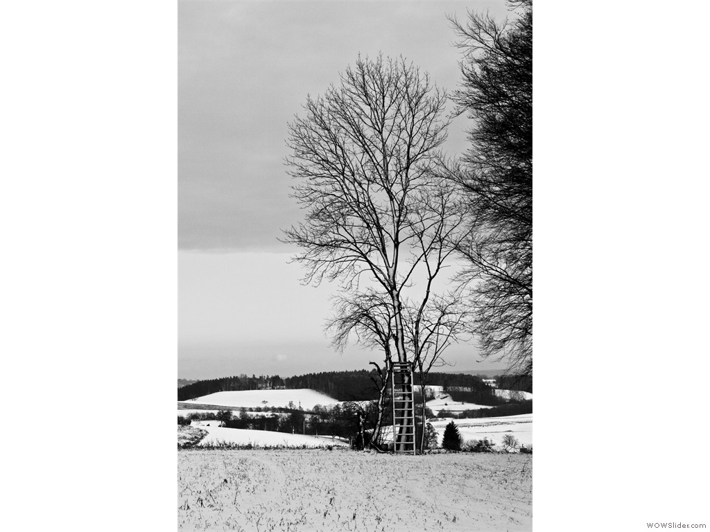 2011-12-31_Sylvester_030 2011-12-31_Sylvester_030